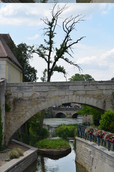 ponts_arbre