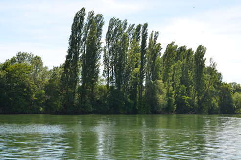 Bords de Saône