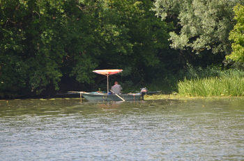 pêcheur à la barque