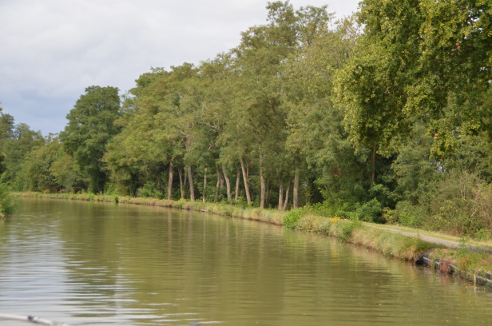 Bord de canal