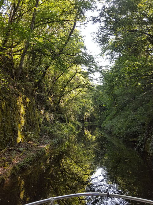 Tunnel de verdure